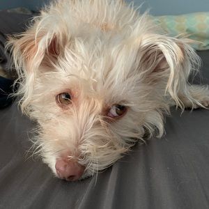 Meet your Posher, Effie